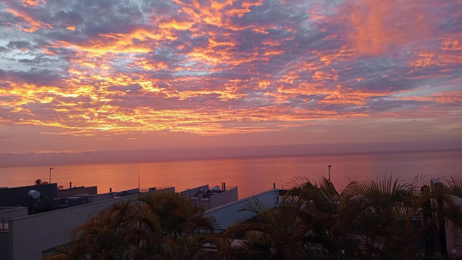 Fenix Premium * Santa Cruz de Tenerife